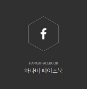 하나비성형외과 페이스북